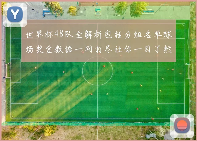 世界杯48队全解析包括分组名单球场奖金数据一网打尽让你一目了然